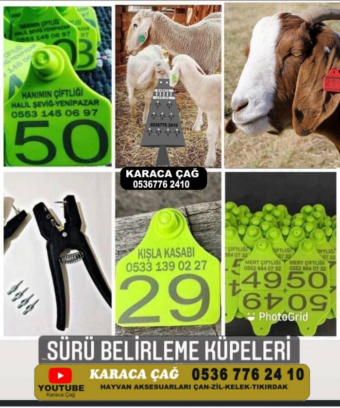 Sürü belirleme küpeleri plastik küpe üzerine telefon numarası firma ismi Çiftlik ismi yazılabilir